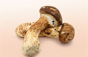 Matsutake